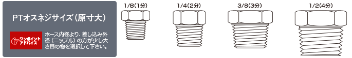 PTオスネジサイズ(原寸大)